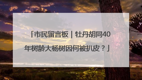 市民留言板｜牡丹胡同40年树龄大杨树因何被扒皮？