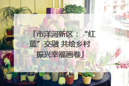 市洋河新区：“红蓝”交融 共绘乡村振兴幸福画卷