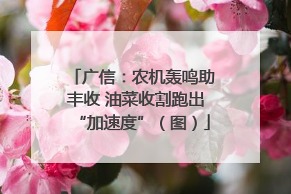 广信：农机轰鸣助丰收 油菜收割跑出“加速度”（图）