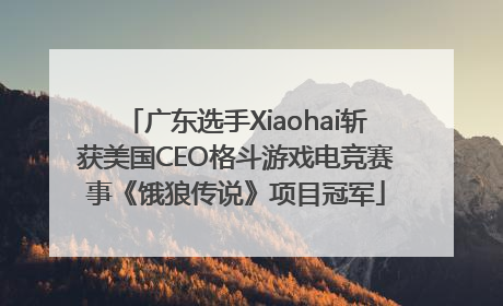 广东选手Xiaohai斩获美国CEO格斗游戏电竞赛事《饿狼传说》项目冠军