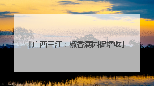 广西三江：椒香满园促增收