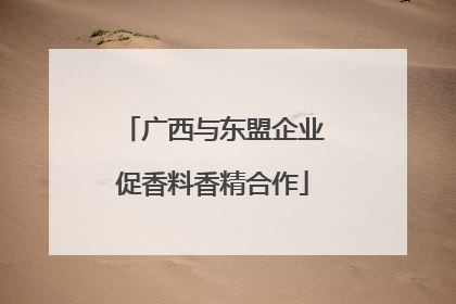 广西与东盟企业促香料香精合作