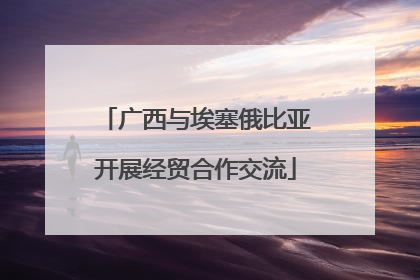 广西与埃塞俄比亚开展经贸合作交流