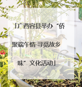 广西容县举办“侨聚端午情·寻觅故乡味”文化活动