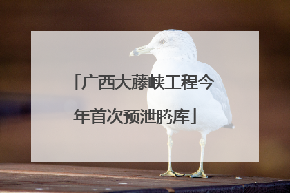 广西大藤峡工程今年首次预泄腾库