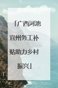 广西河池宜州务工补贴助力乡村振兴