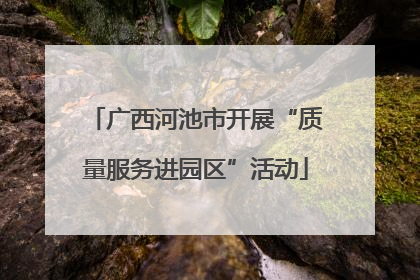 广西河池市开展“质量服务进园区”活动