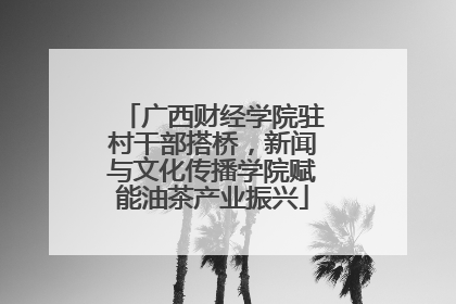 广西财经学院驻村干部搭桥，新闻与文化传播学院赋能油茶产业振兴