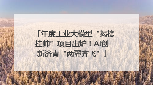 年度工业大模型“揭榜挂帅”项目出炉！AI创新济青“两翼齐飞”