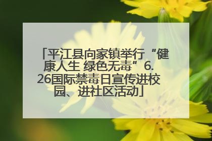 平江县向家镇举行“健康人生 绿色无毒”6.26国际禁毒日宣传进校园、进社区活动