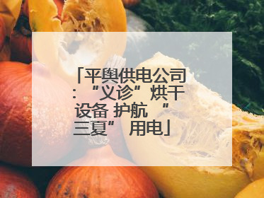 平舆供电公司：“义诊”烘干设备 护航 “三夏” 用电