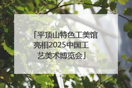 平顶山特色工美馆亮相2025中国工艺美术博览会