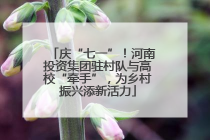 庆“七一”！河南投资集团驻村队与高校“牵手”，为乡村振兴添新活力
