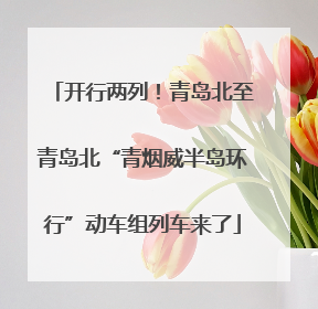开行两列！青岛北至青岛北“青烟威半岛环行”动车组列车来了