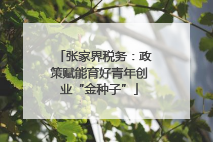 张家界税务：政策赋能育好青年创业“金种子”
