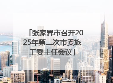 张家界市召开2025年第二次市委旅工委主任会议