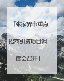 张家界市重点招商引资项目调度会召开