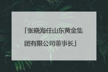 张晓海任山东黄金集团有限公司董事长