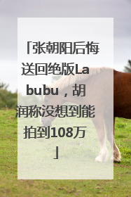 张朝阳后悔送回绝版Labubu，胡润称没想到能拍到108万
