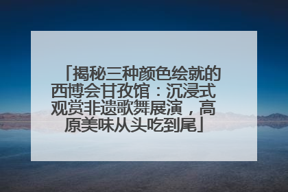 揭秘三种颜色绘就的西博会甘孜馆：沉浸式观赏非遗歌舞展演，高原美味从头吃到尾