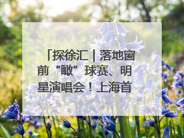 探徐汇｜落地窗前“瞰”球赛、明星演唱会！上海首家体育特色高端酒店亮相
