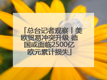 总台记者观察丨美欧贸易冲突升级 德国或面临2500亿欧元累计损失