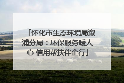 怀化市生态环境局溆浦分局：环保服务暖人心 信用帮扶伴企行
