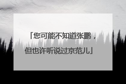 您可能不知道张鹏，但也许听说过京范儿