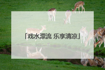 戏水漂流 乐享清凉