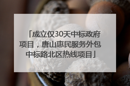 成立仅30天中标政府项目，唐山惠民服务外包中标路北区热线项目