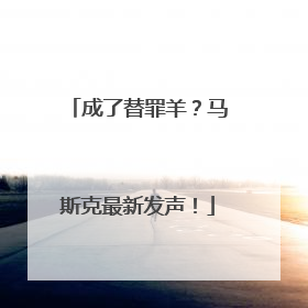 成了替罪羊？马斯克最新发声！