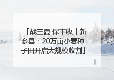 战三夏 保丰收丨新乡县：20万亩小麦种子田开启大规模收割