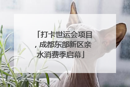 打卡世运会项目，成都东部新区亲水消费季启幕