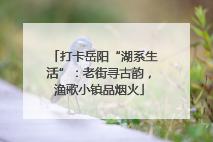 打卡岳阳“湖系生活”：老街寻古韵，渔歌小镇品烟火