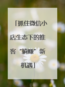 抓住微信小店生态下的推客“躺赚”新机遇