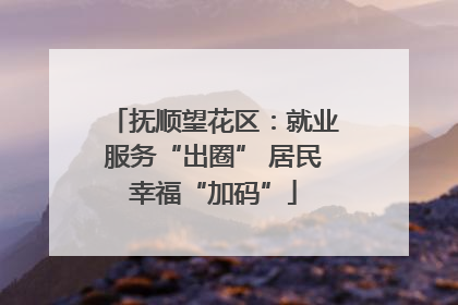 抚顺望花区：就业服务“出圈” 居民幸福“加码”