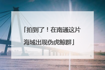 拍到了！在南通这片海域出现伪虎鲸群