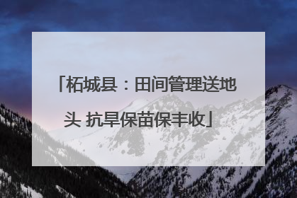柘城县：田间管理送地头 抗旱保苗保丰收