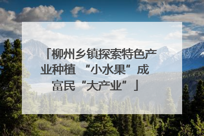柳州乡镇探索特色产业种植 “小水果”成富民“大产业”
