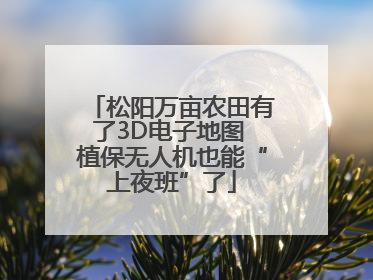 松阳万亩农田有了3D电子地图 植保无人机也能“上夜班”了