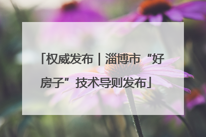 权威发布｜淄博市“好房子”技术导则发布