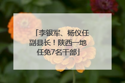 李银军、杨仪任副县长！陕西一地任免7名干部
