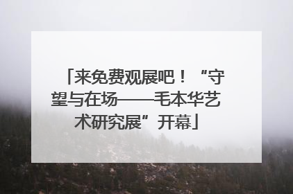 来免费观展吧！“守望与在场——毛本华艺术研究展”开幕