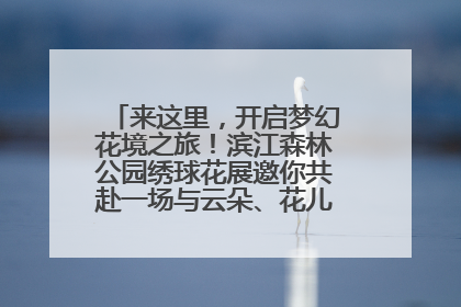 来这里，开启梦幻花境之旅！滨江森林公园绣球花展邀你共赴一场与云朵、花儿的浪漫之约