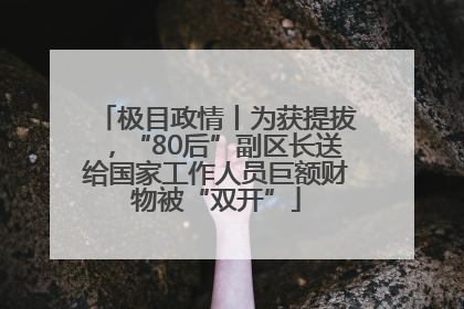 极目政情丨为获提拔，“80后”副区长送给国家工作人员巨额财物被“双开”
