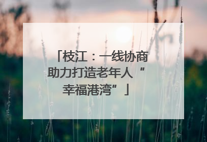 枝江：一线协商助力打造老年人“幸福港湾”