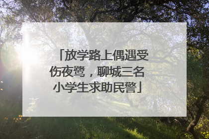 放学路上偶遇受伤夜鹭，聊城三名小学生求助民警