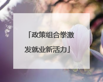 政策组合拳激发就业新活力
