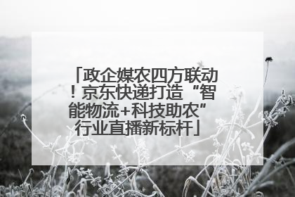 政企媒农四方联动！京东快递打造“智能物流+科技助农”行业直播新标杆
