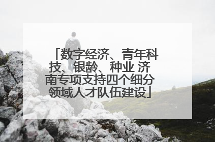 数字经济、青年科技、银龄、种业 济南专项支持四个细分领域人才队伍建设